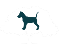 Walnut Tree Dog Services Norfolk